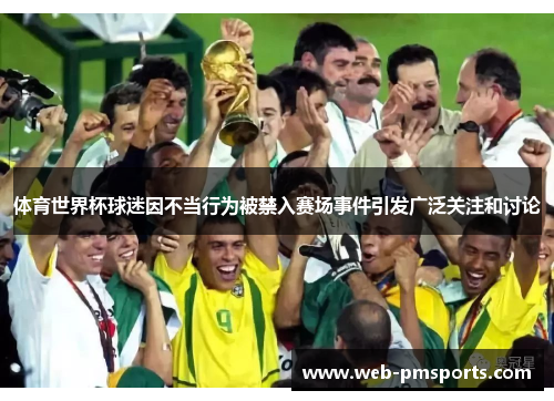 体育世界杯球迷因不当行为被禁入赛场事件引发广泛关注和讨论