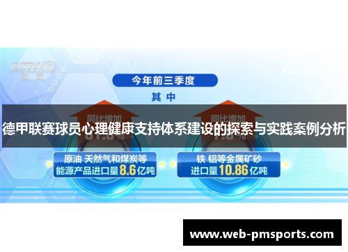 德甲联赛球员心理健康支持体系建设的探索与实践案例分析