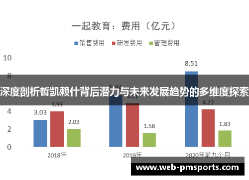 深度剖析哲凯赖什背后潜力与未来发展趋势的多维度探索