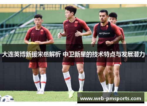 大连英博新援宋岳解析 中卫新星的技术特点与发展潜力