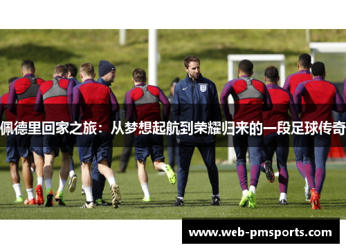 佩德里回家之旅：从梦想起航到荣耀归来的一段足球传奇