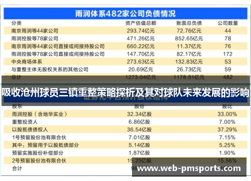 吸收沧州球员三镇重整策略探析及其对球队未来发展的影响
