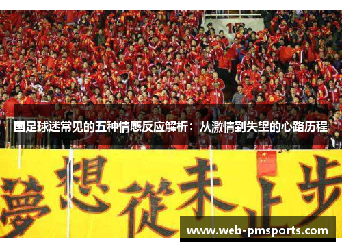 国足球迷常见的五种情感反应解析：从激情到失望的心路历程